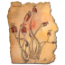 Amanita-lampionaria icon