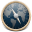 Safari Blue icon