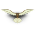 DaVinci-Flying-Machine icon