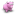 PinkCowPorcelaine icon