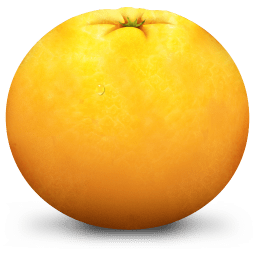 fruit ninja orange