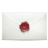 Secret email icon