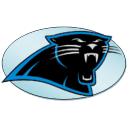 Panthers icon