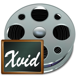 Fichiers xvid icon