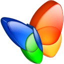 MSN-exporer icon