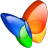 MSN-exporer icon