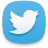 Web-twitter-2 icon