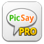 Picsaypro icon