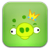 AngryBirds icon