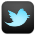 Twitter-4 icon