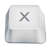 Letter-uppercase-X icon