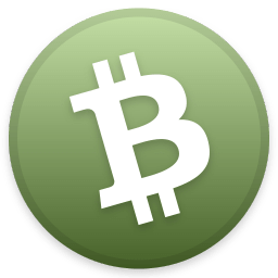 Bitcoin Cash icon