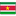Suriname Flag icon