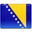 Bosnian Flag icon
