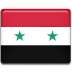 Syria-Flag icon