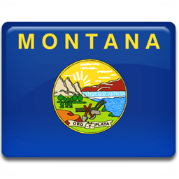 Montana Flag icon