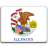 Illinois-Flag icon