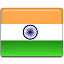 India-Flag icon