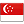 Singapore-Flag icon
