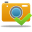 Camera-Accept icon