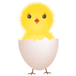 Chicken egg shell icon
