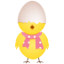 Chicken-egg-shell-top icon