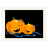Stamp pumpkins icon