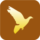Christianity-Peace-Dove icon
