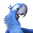 Rio2 Blu icon
