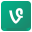 Vine-4 icon