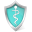 Health care shield icon