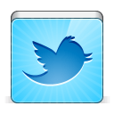Social twitter bird icon