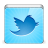 Social-twitter-bird icon