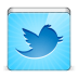 Social-twitter-bird icon