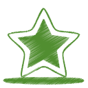 Green star icon