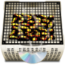 Software-Burn icon