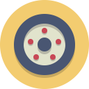 Carwheel icon