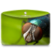 Folder-Nature-Insect icon