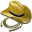 Hat and Whip icon