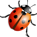 Ladybird icon