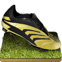 Soccer-shoe-grass icon