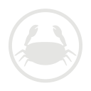 Crustacens-allergy-grey icon