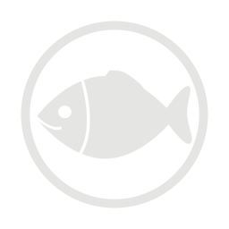 Fish allergy grey icon