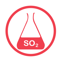 Sulphurdioxide allergy red icon