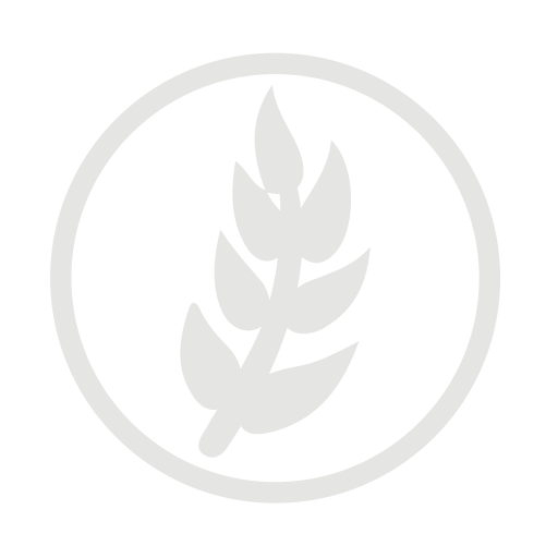 Wheat allergy grey icon
