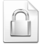 Mimetype encrypted icon