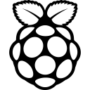 FontAwesome-Brands-Raspberry-Pi icon