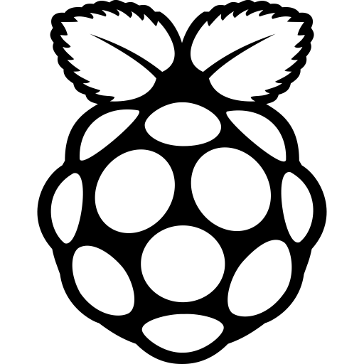 FontAwesome-Brands-Raspberry-Pi icon