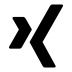 FontAwesome-Brands-Xing icon