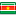 Flag-suriname icon
